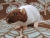 Dark Brown Capped Rat Plushie
