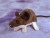 Dark Brown Mouse Plushie with White Belly