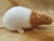 Fawn Bareback Rat Plushie