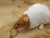 Fawn Capped Rat Plushie
