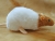 Fawn Capped Rat Plushie