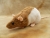 Fawn Half-Hooded Rat Plushie
