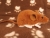 Ginger Mouse Plushie with White Belly