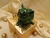 Green with Gold Vines Guinea Pig Ornament