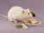 Himalayan Rat Plushie