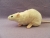 Ivory Berkshire Rat Plushie