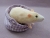 Ivory Blazed Rat Plushie