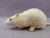 Ivory Blazed Rat Plushie
