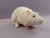 Ivory Blazed Rat Plushie