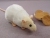 Ivory Capped Rat Plushie