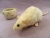Ivory Half-Hooded Rat Plushie