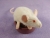 Ivory Mouse Plushie