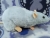 Light Blue Rat Plushie