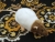 Light Brown Capped Rat Plushie