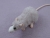 Light Grey Blazed Rat Plushie