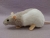 Light Grey Half-Hooded Rat Plushie