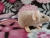 Light Pink Mouse Plushie with White Belly