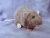 Light Purple Rat Plushie