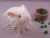 Little White Texel Guinea Pig Plushie
