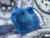 Little Blue Guinea Pig Plushie