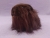 Little Dark Brown Longhaired Guinea Pig Plushie