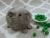 Little Grey Guinea Pig Plushie