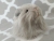 Little Grey Longhaired Guinea Pig Plushie