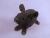 Little Black Hairless Guinea Pig Plushie