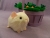 Little Ivory Guinea Pig Plushie