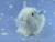 Little Light Blue Dutch Guinea Pig Plushie (Smooth)