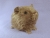Little Light Brown Guinea Pig Plushie