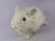 Little Light Grey Guinea Pig Plushie