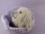 Little Light Grey Guinea Pig Plushie