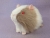 Little Lilac Grey Dutch Guinea Pig Plushie