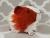 Little Maroon Dutch Guinea Pig Plushie