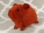 Little Maroon Guinea Pig Plushie