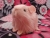 Little Pinkie Guinea Pig Plushie