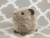 Little Silver Guinea Pig Plushie