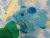 Little Turquoise Guinea Pig Plushie