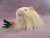 Little White Longhaired Guinea Pig Plushie