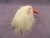 Little White Longhaired Guinea Pig Plushie