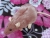 Mauve Rat Plushie