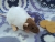 Mink Capped Rat Plushie