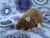 Mink Rat Plushie