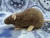 Mink Rat Plushie