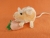 Peach Mouse Plushie with White Belly