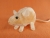 Peach Mouse Plushie with White Belly