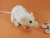 Peach Rat Plushie