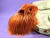Big Ginger Longhaired Guinea Pig Plushie