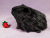 Little Black Guinea Pig Plushie